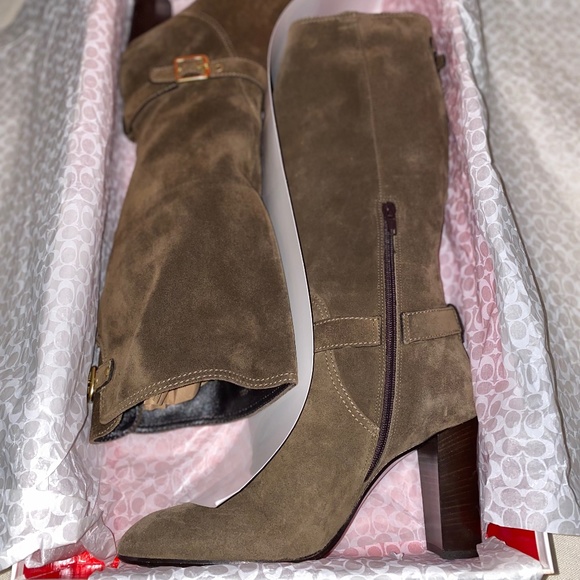 NIB Coach A7284 Suede Robynn Heeled Boots in Flint Goldtone Hardware Sz 9 $528 - Picture 6 of 10